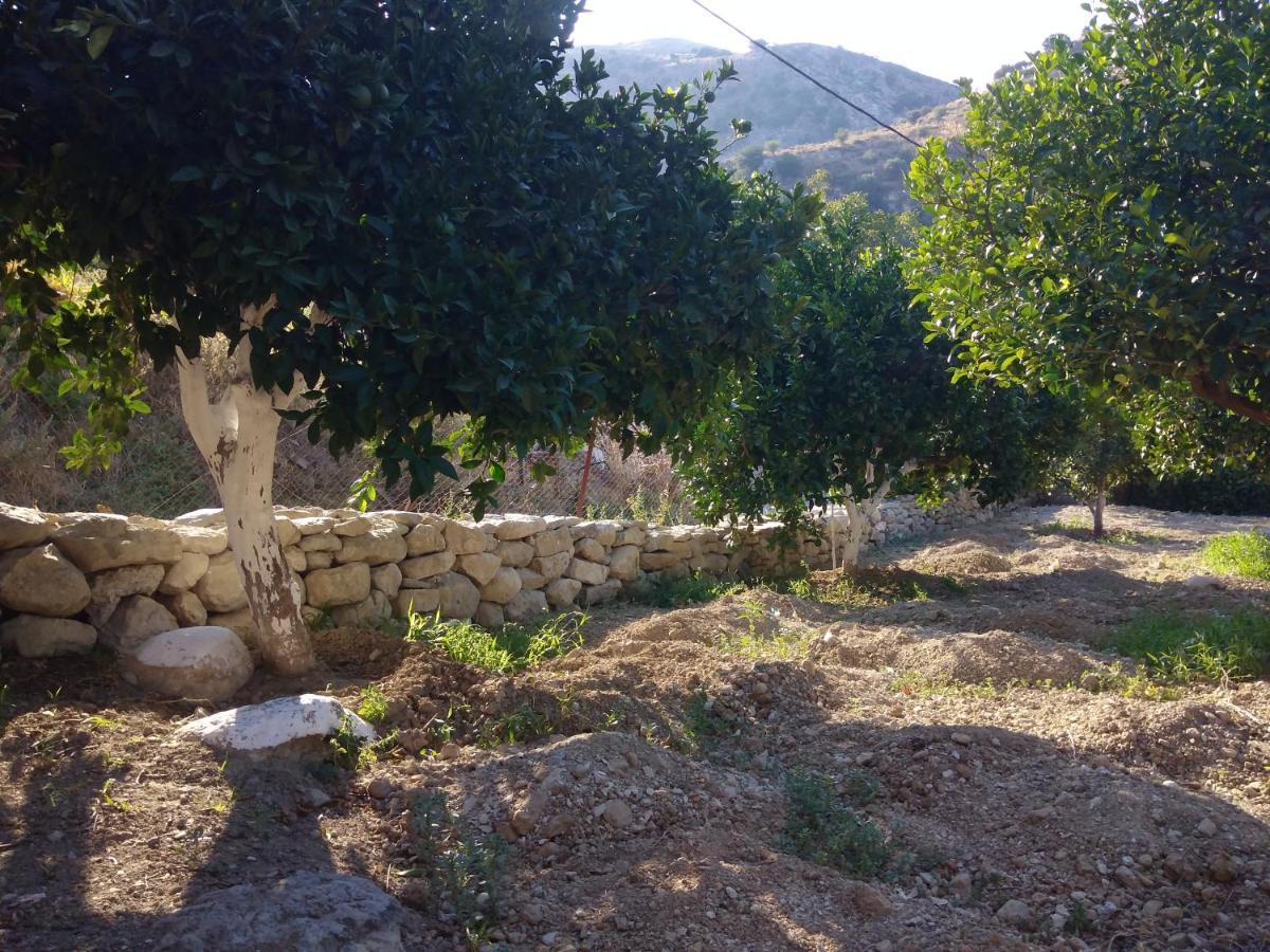 בית הארחה Sárkhos 	Aggelina חדר תמונה